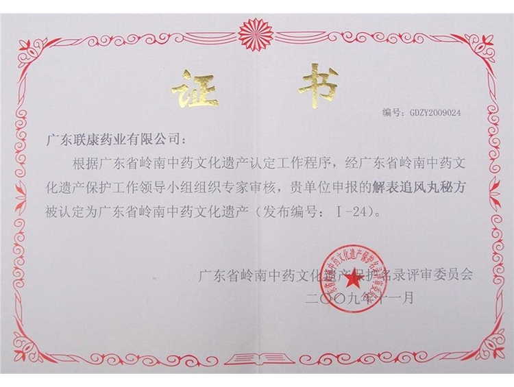 Certificate of Lingnan Traditional Chinese Medicine Cultural Heritage