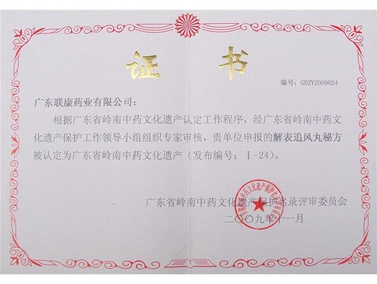 Certificate of Lingnan Traditional Chinese Medicine Cultural Heritage